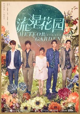 流星花园电视剧